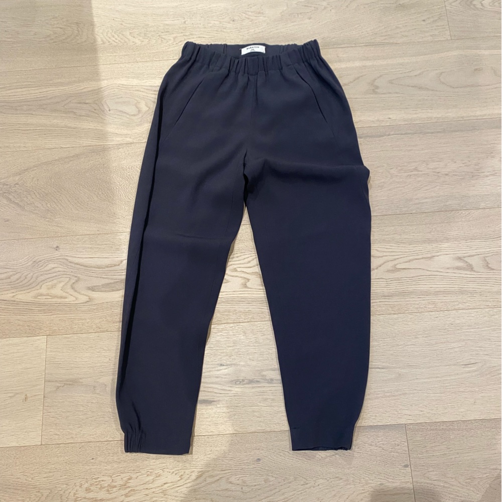 Aritzia Babaton Dexter pants